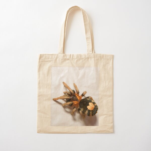 Item preview, Cyriocosmus Elegans Tarantula designed and sold by CyriocosmusE.