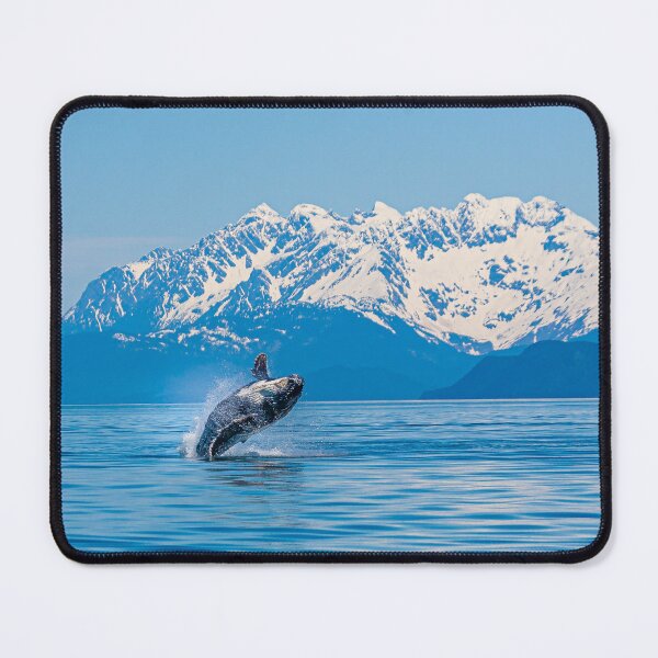 Item preview, Humpback whale breaching  designed and sold by Dalyndigital Photography.