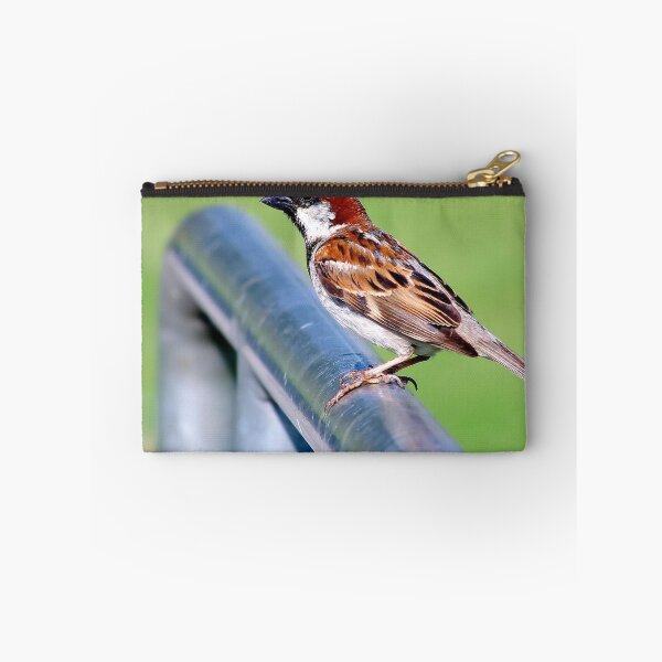 Item preview, Male Chickadee designed and sold by Sandra Moore.