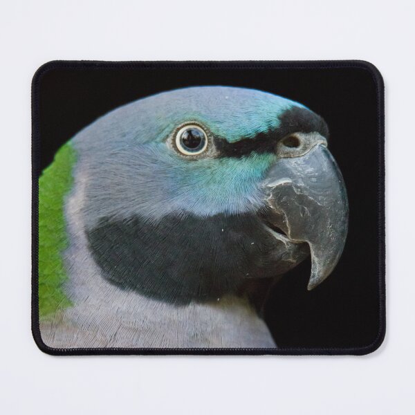 Item preview, Lord Derby's parakeet designed and sold by Dominika Aniola.