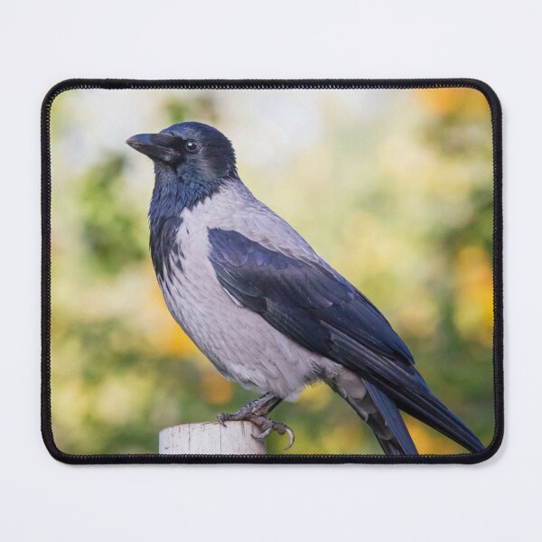 Item preview, Hooded Crow designed and sold by Dominika Aniola.