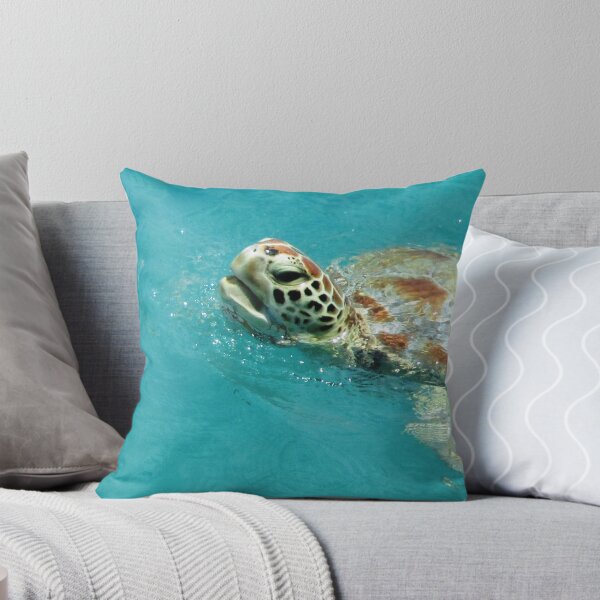 Item preview, Hello Turtle designed and sold by Ann Biddlecombe.