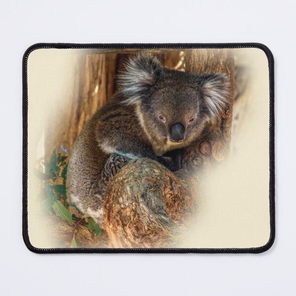 Item preview, Koala designed and sold by indiafrankk.