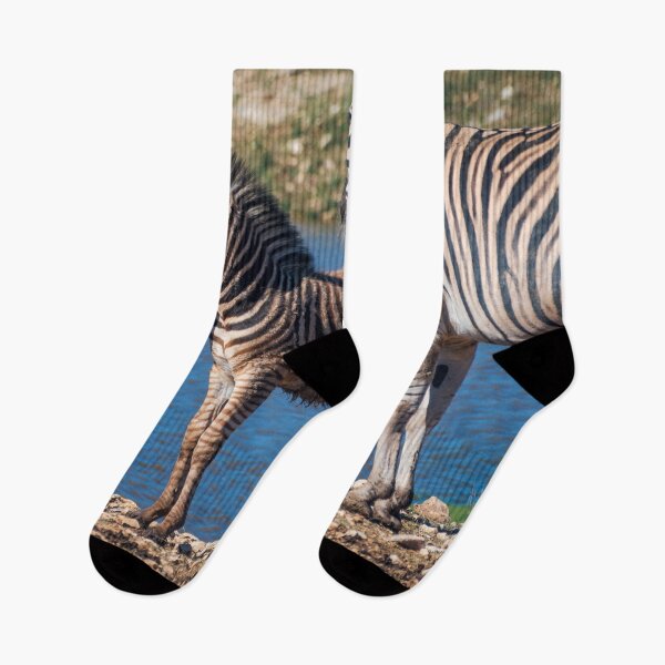 Item preview, Cute baby zebra with mother in front of watering hole designed and sold by noblephoto.