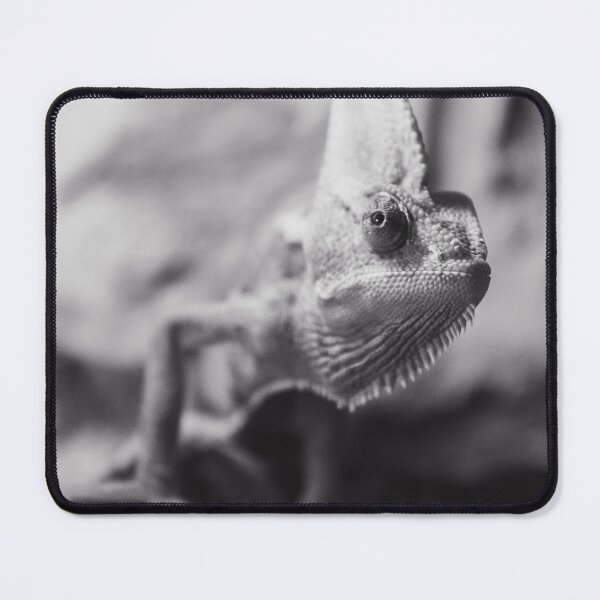 Item preview, Chameleon designed and sold by Dominika Aniola.