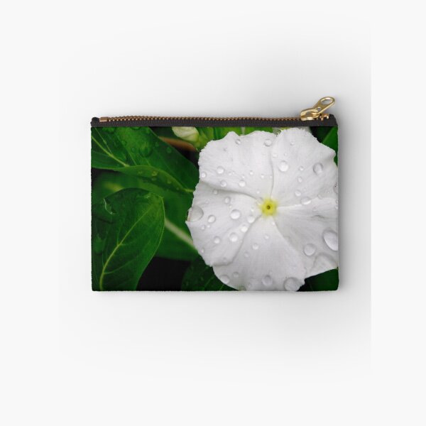 Item preview, Fresh designed and sold by Sandra Moore.