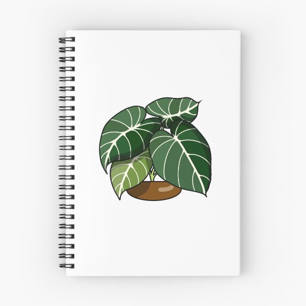 Item preview, Philodendron gloriosum  designed and sold by Dennies-designs.