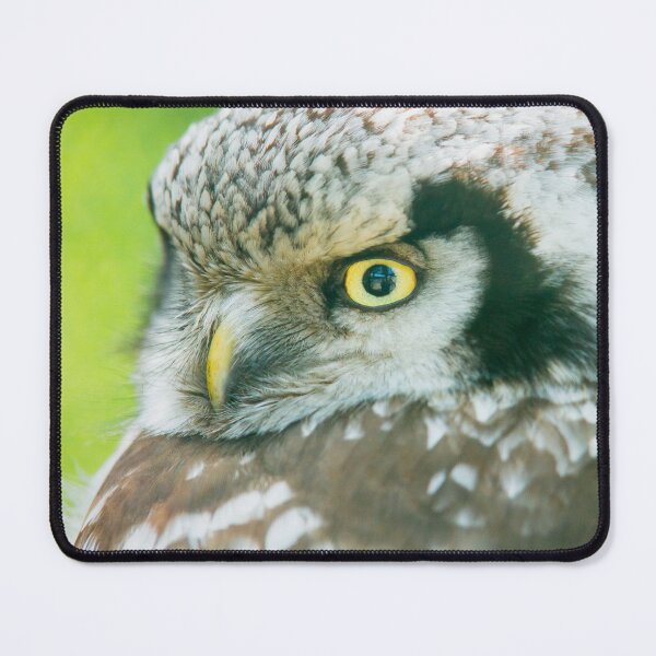 Item preview, Northern Hawk Owl designed and sold by Dominika Aniola.