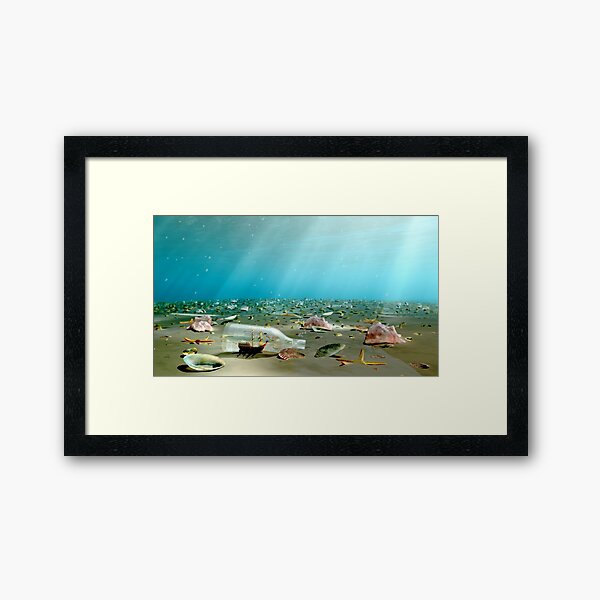 Framed Print