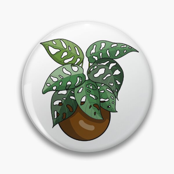 Item preview, Monstera adansonii designed and sold by Dennies-designs.