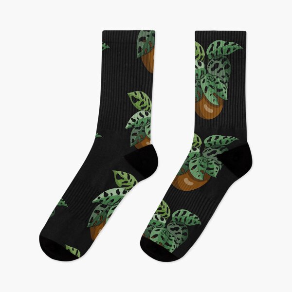 Item preview, Monstera adansonii designed and sold by Dennies-designs.