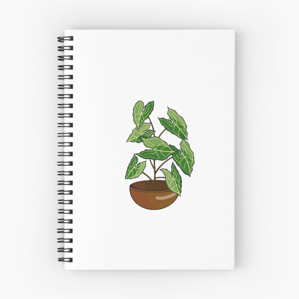 Item preview, Syngonium albolineatum designed and sold by Dennies-designs.
