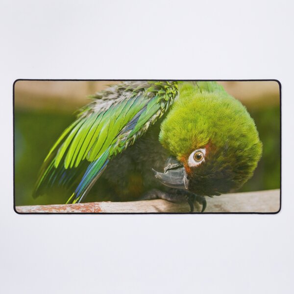 Item preview, Green Parakeet designed and sold by Dominika Aniola.
