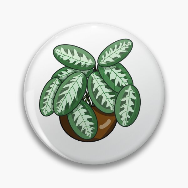 Item preview, Maranta cristata designed and sold by Dennies-designs.