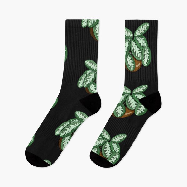 Item preview, Maranta cristata designed and sold by Dennies-designs.