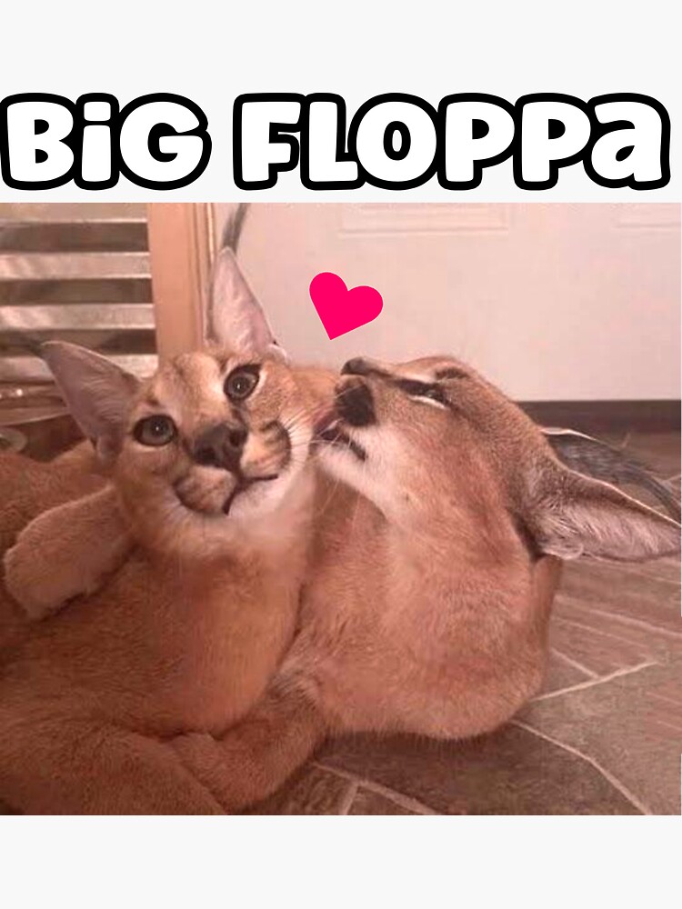 Big floppa sticker pack cat meme | Poster