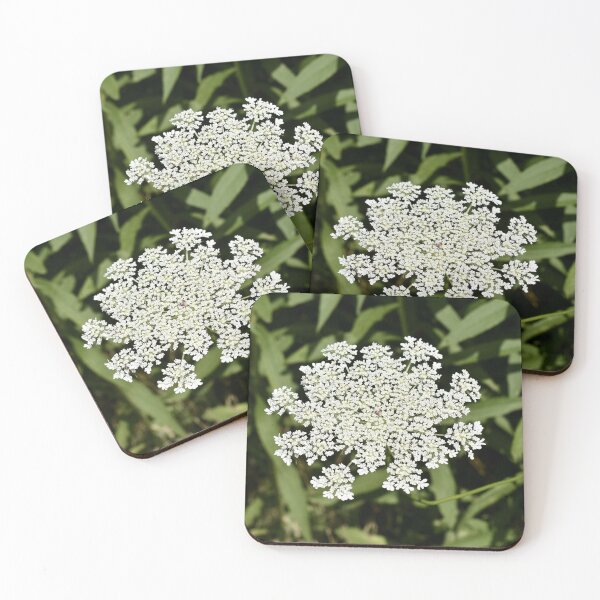 Item preview, Queen Anne's Lace Bloom designed and sold by Kathleen Brant.