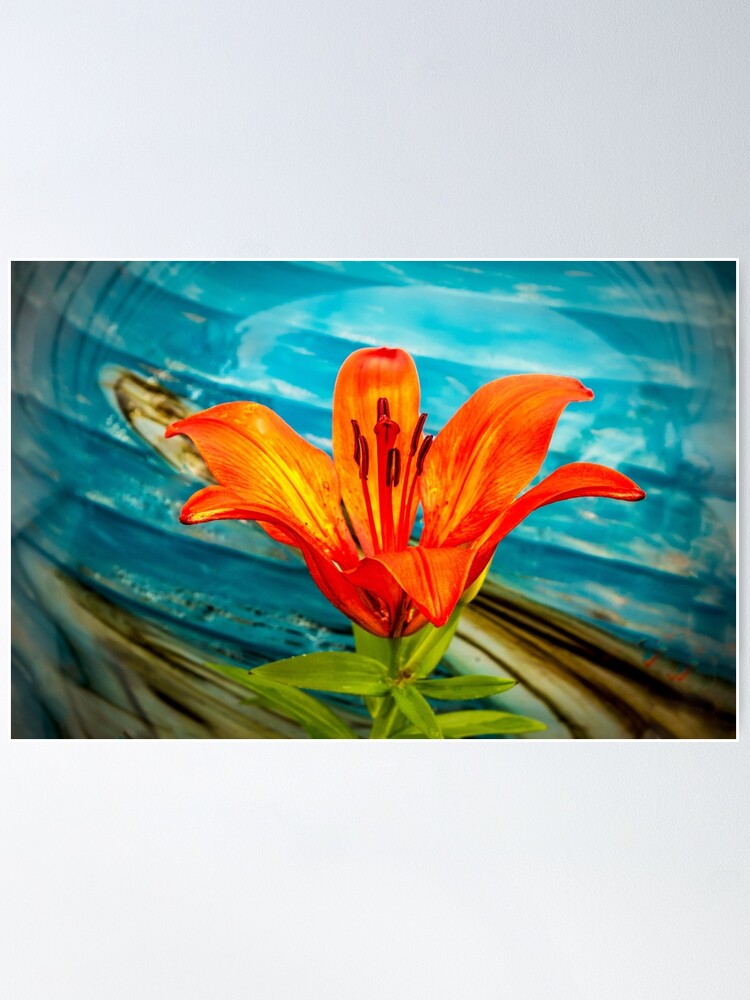 Poster, Tiger Lily and Blue Globe designed and sold by Jerry Walter