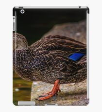 Wet Bill iPad Case/Skin