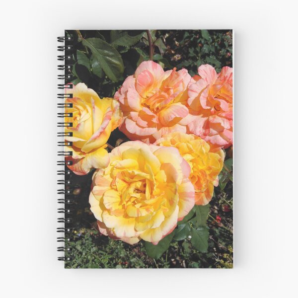 Item preview, Sometimes love is as bright as a rose designed and sold by Raigitam.