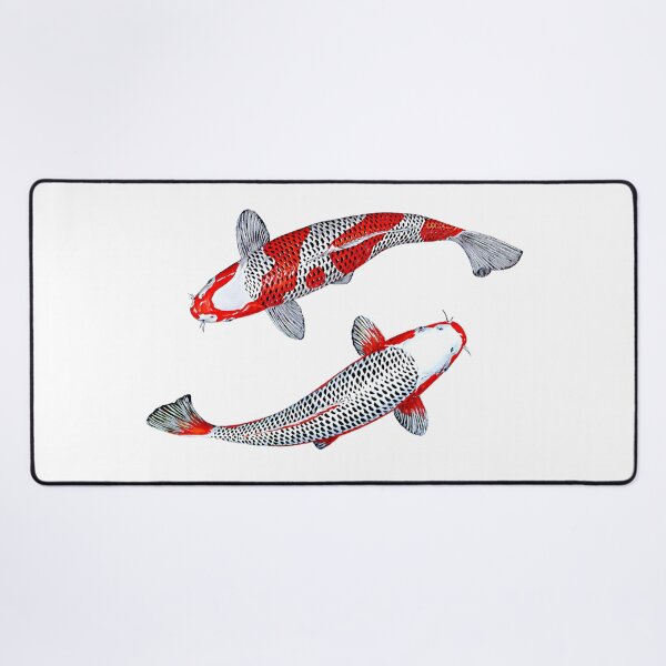 Item preview, Yin Yang Kuhaku Asagi Koi Vector designed and sold by Koiartsandus.