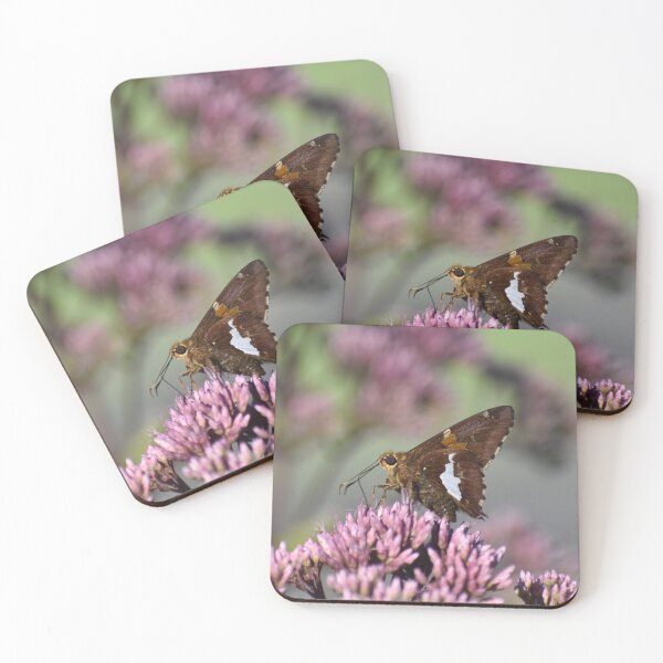 Item preview, Silver spotted skipper designed and sold by Tonia Delozier's Photography .