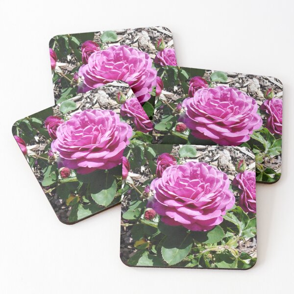 Item preview, Purple rose is special like eternal love designed and sold by Raigitam.