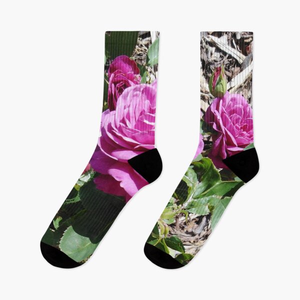 Item preview, Purple rose is special like eternal love designed and sold by Raigitam.