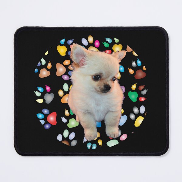 Item preview, A Pride Coloured Rainbow with a White Puppy, Gift for The LGBTQIA+ Community designed and sold by DiensDesign.
