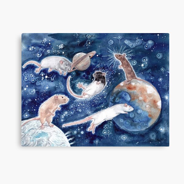 Rats are Stars Spelled Backwards Canvas Print