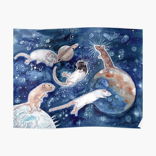 Rats are Stars Spelled Backwards Poster