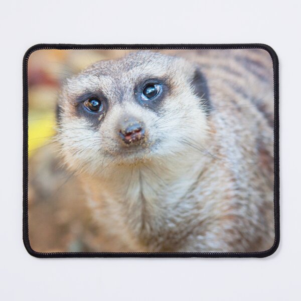 Item preview, Meerkat designed and sold by Dominika Aniola.