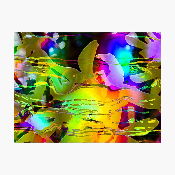 Blend of colours. Photographic Print