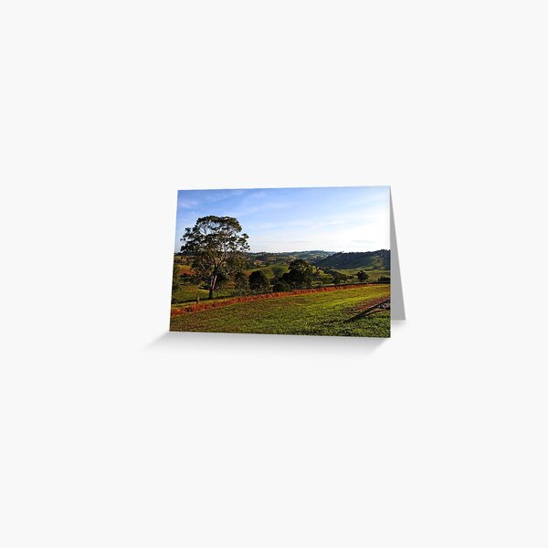Item preview, Bega, NSW designed and sold by Evita.