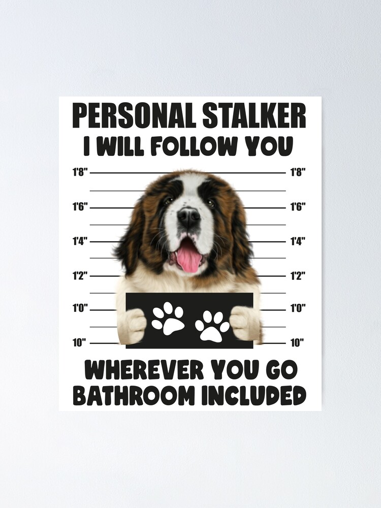 St Bernard Puppy Cute Funny 10 Rules Lover Gift Men Women T-Shirt