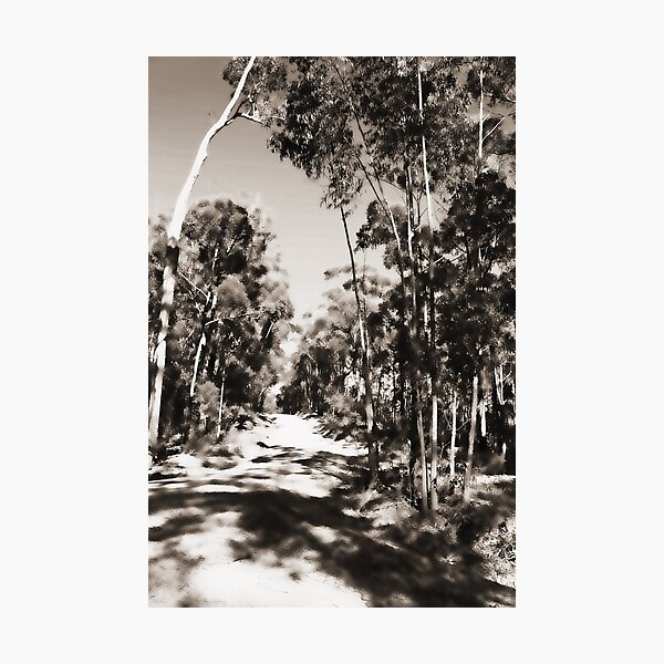 Item preview, Australian Bush designed and sold by Evita.