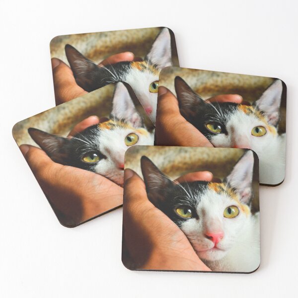 Item preview, Happy Cat Being Pet designed and sold by SquishStitches.