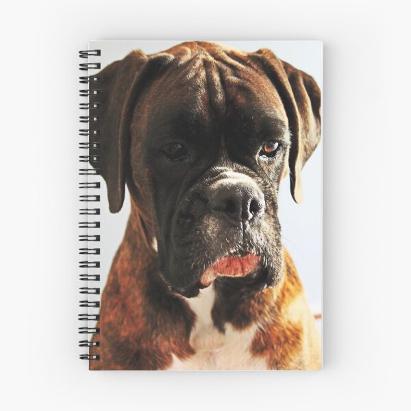 Item preview, I'm sorry... won't do it again  -Boxer Dogs Series- designed and sold by Evita.