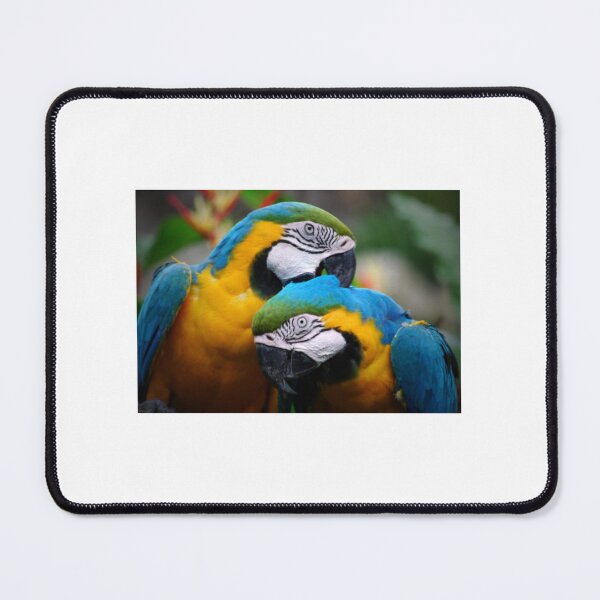 Item preview, colombian jungle designed and sold by Mayne21.