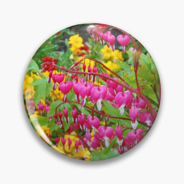 Artikelvorschau, Rosa blutende Herzen - Gelände des Preston-Tempels entworfen und verkauft von SunriseRose.