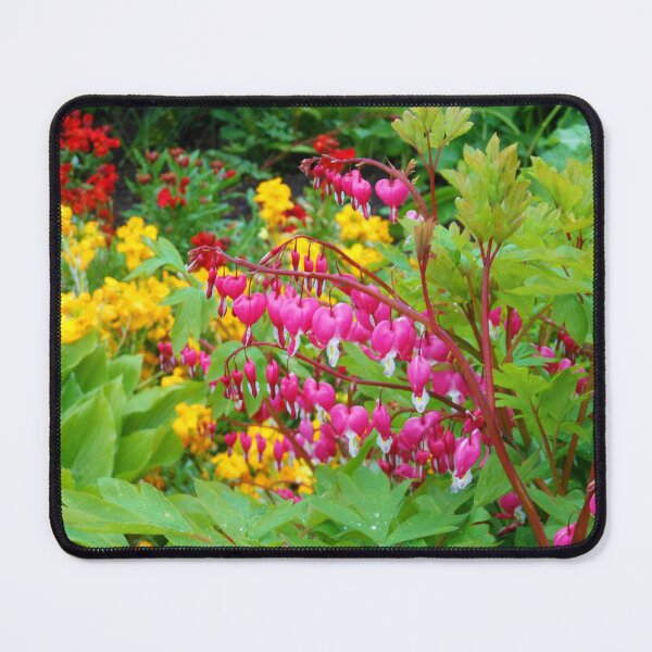 Item preview, Pink Bleeding Hearts - Preston Temple Grounds designed and sold by SunriseRose.