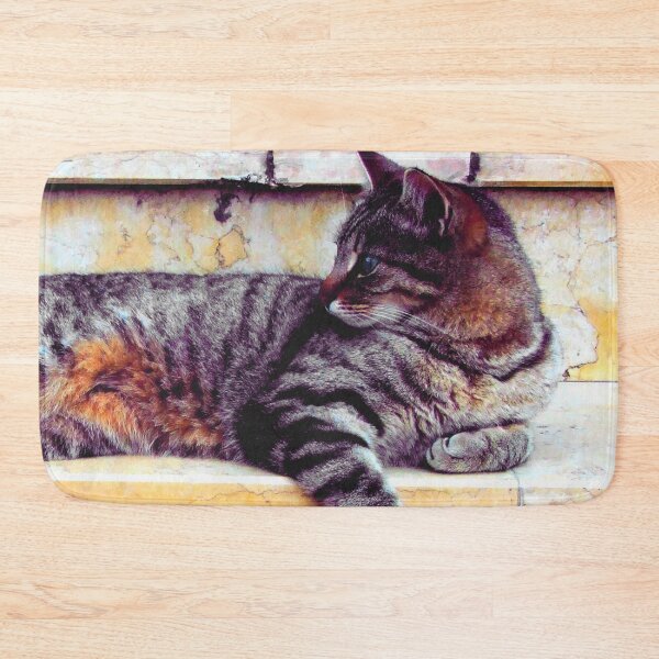 Item preview, Dark Tabby Sunning on Stairs designed and sold by SquishStitches.