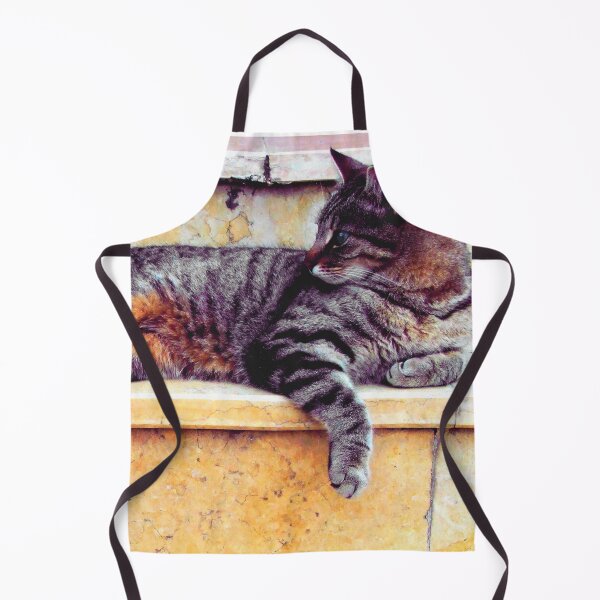 Item preview, Dark Tabby Sunning on Stairs designed and sold by SquishStitches.