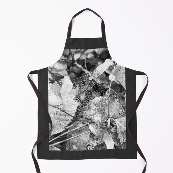 Item preview, Webb designed and sold by veraD58.