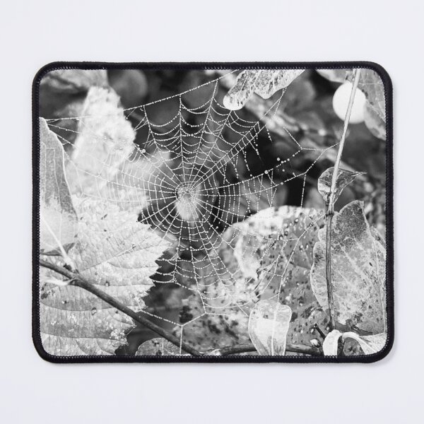 Item preview, Webb designed and sold by veraD58.