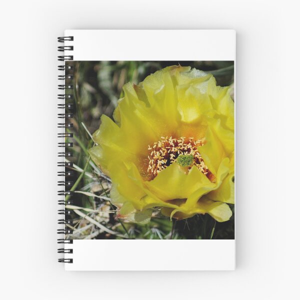 Item preview, 63017 prickly pear designed and sold by pcfyi.