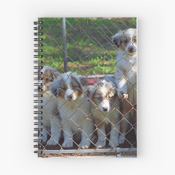 Item preview, Let Us Out! #3 designed and sold by Frank Romeo.