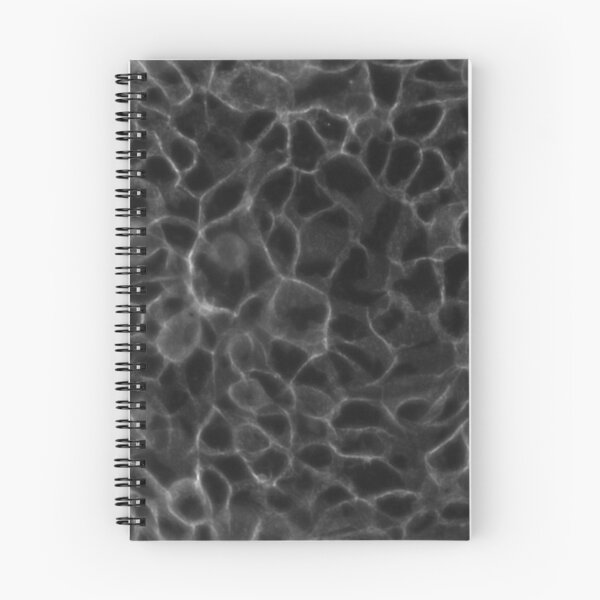 Item preview, Groovy designed and sold by ArtByScience.