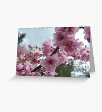 Flowering Greeting Card
