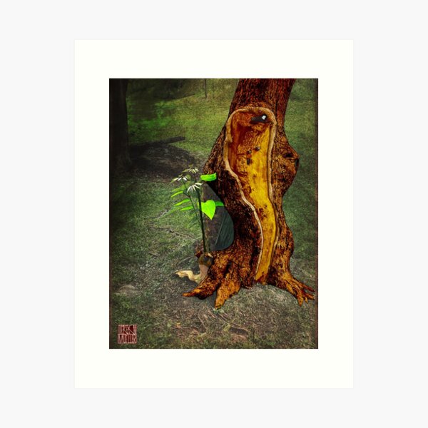 Catawba Art Print